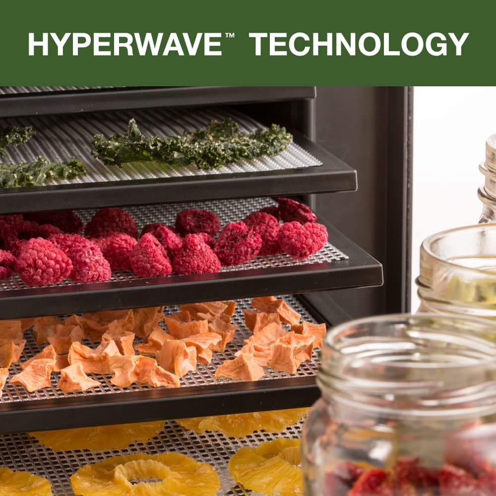 Excalibur 9-Tray Food Dehydrator with 26-Hour Timer - image 1