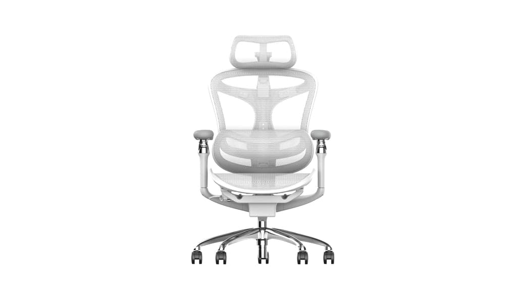 Sihoo A3 DORO-C300 Pro Ergonomic Office Chair (Grey) - image 1