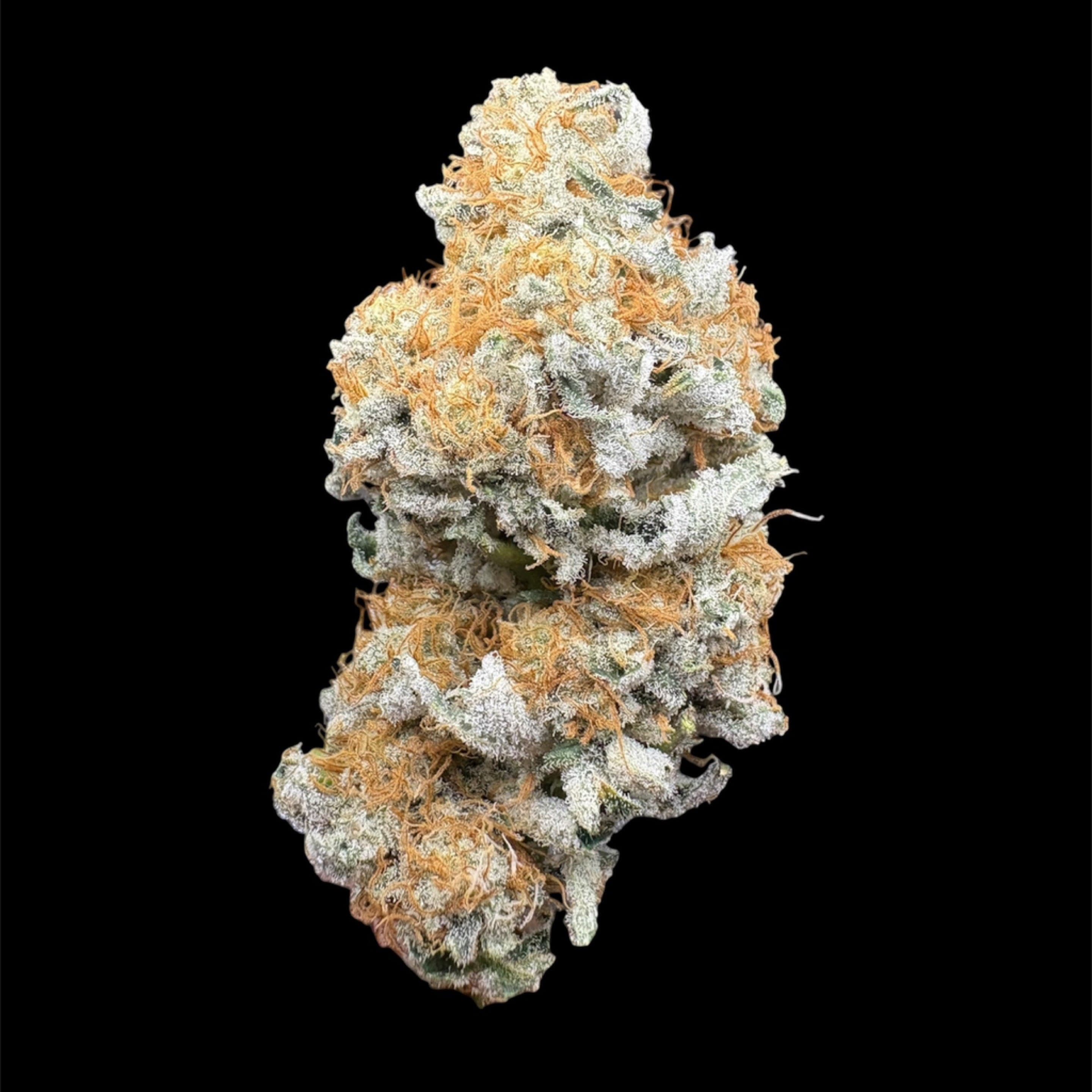 Elite - Chimera and Cream - image 1
