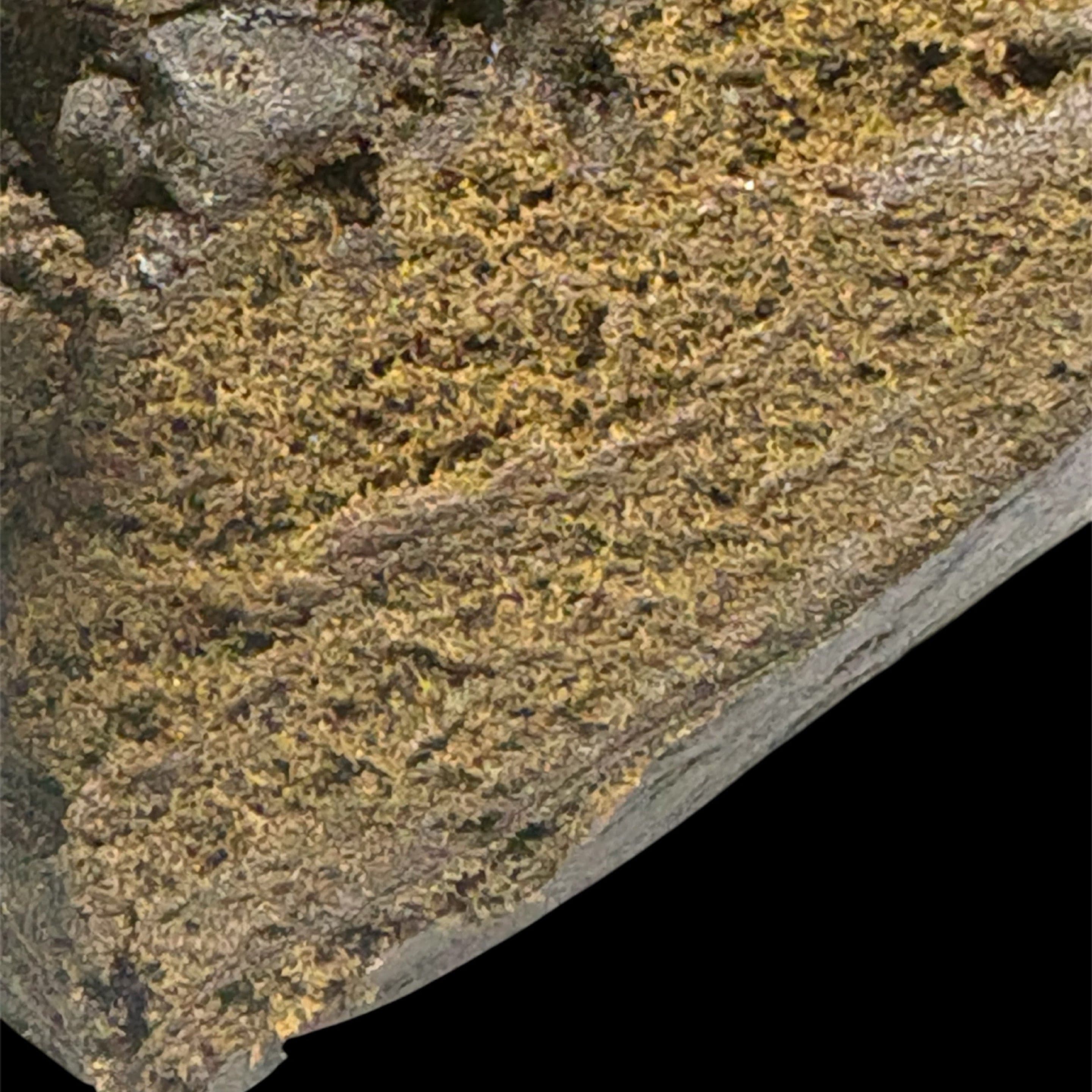 Ha- Chocolate Thai Afghan Hash - image 1