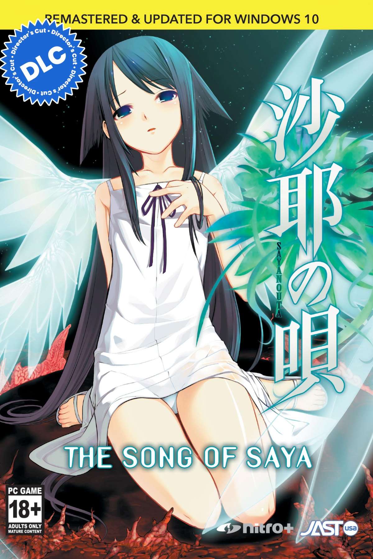 Saya no Uta ~ The Song of Saya – Director's Cut DLC [Steam] - image 1