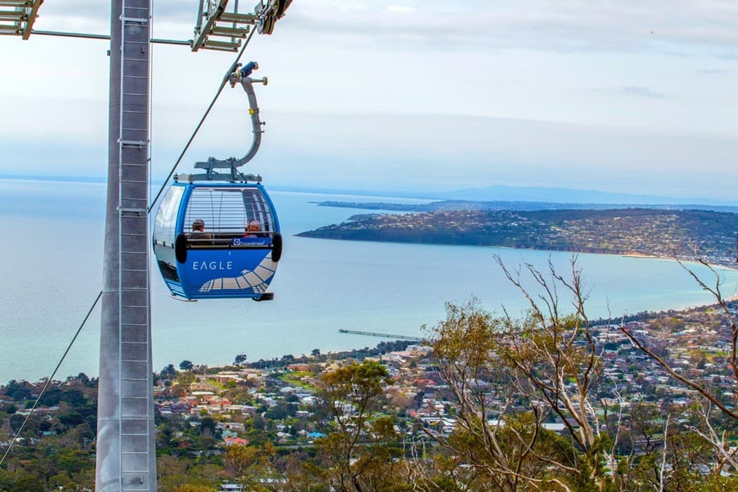 Arthurs Seat Eagle | Cable Car - Gondola Rides in Mornington Peninsula - image 1