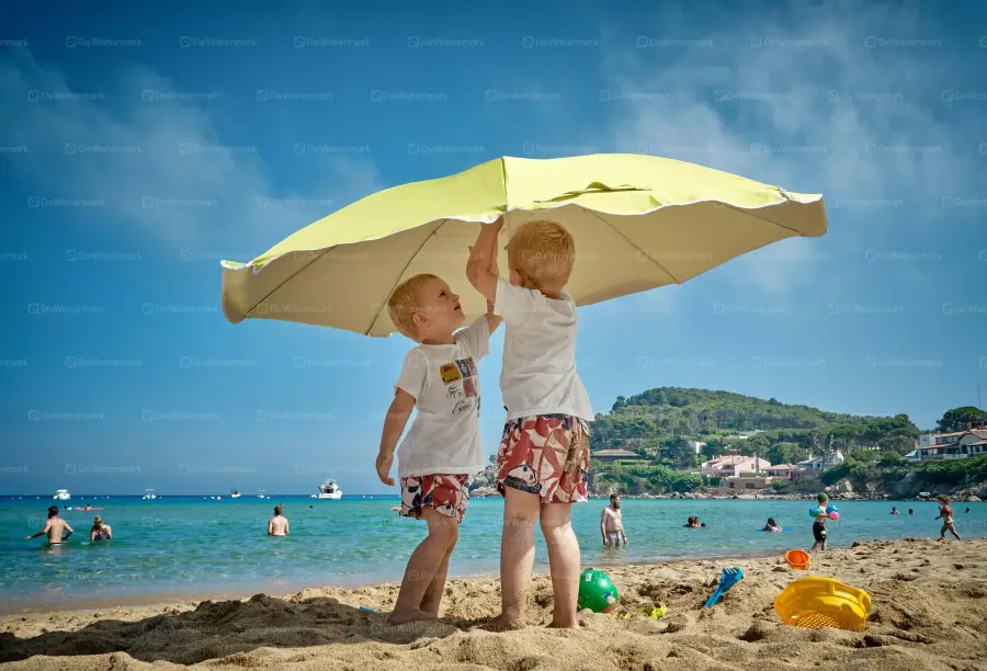 Remove Watermarks from Photos Online Free - image 1