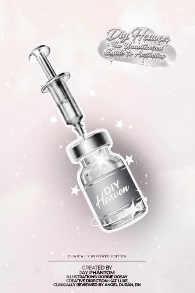 DIY Heaven: The Unauthorized Guide to Aesthetics - image 1