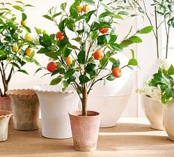 Faux Potted Orange Topiary - image 1