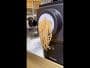 Philips Artisan Smart Pasta & Noodle Maker - image 1
