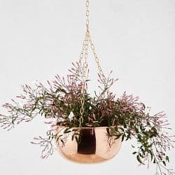 Hanging Copper Planter - image 1