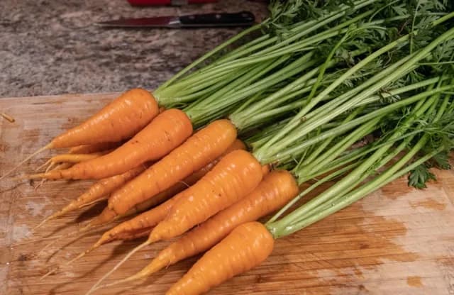 Danvers Carrot Seed - image 1