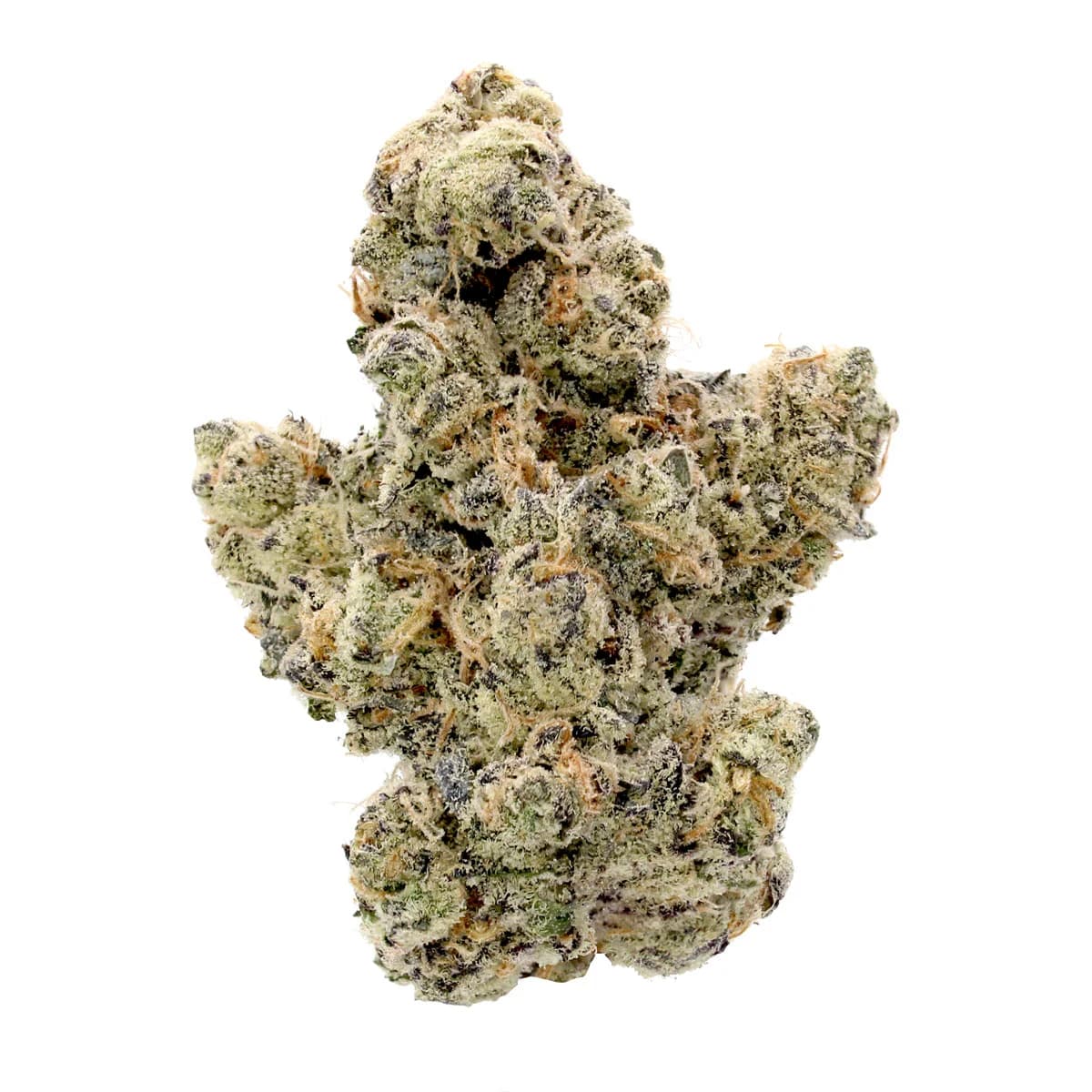 Trapzilla THCa Flower - Elite - 3-5-grams - image 1