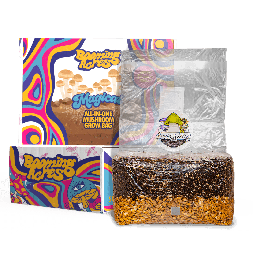 The Magical 5lb All-In-One Mushroom Grow Bag - image 1