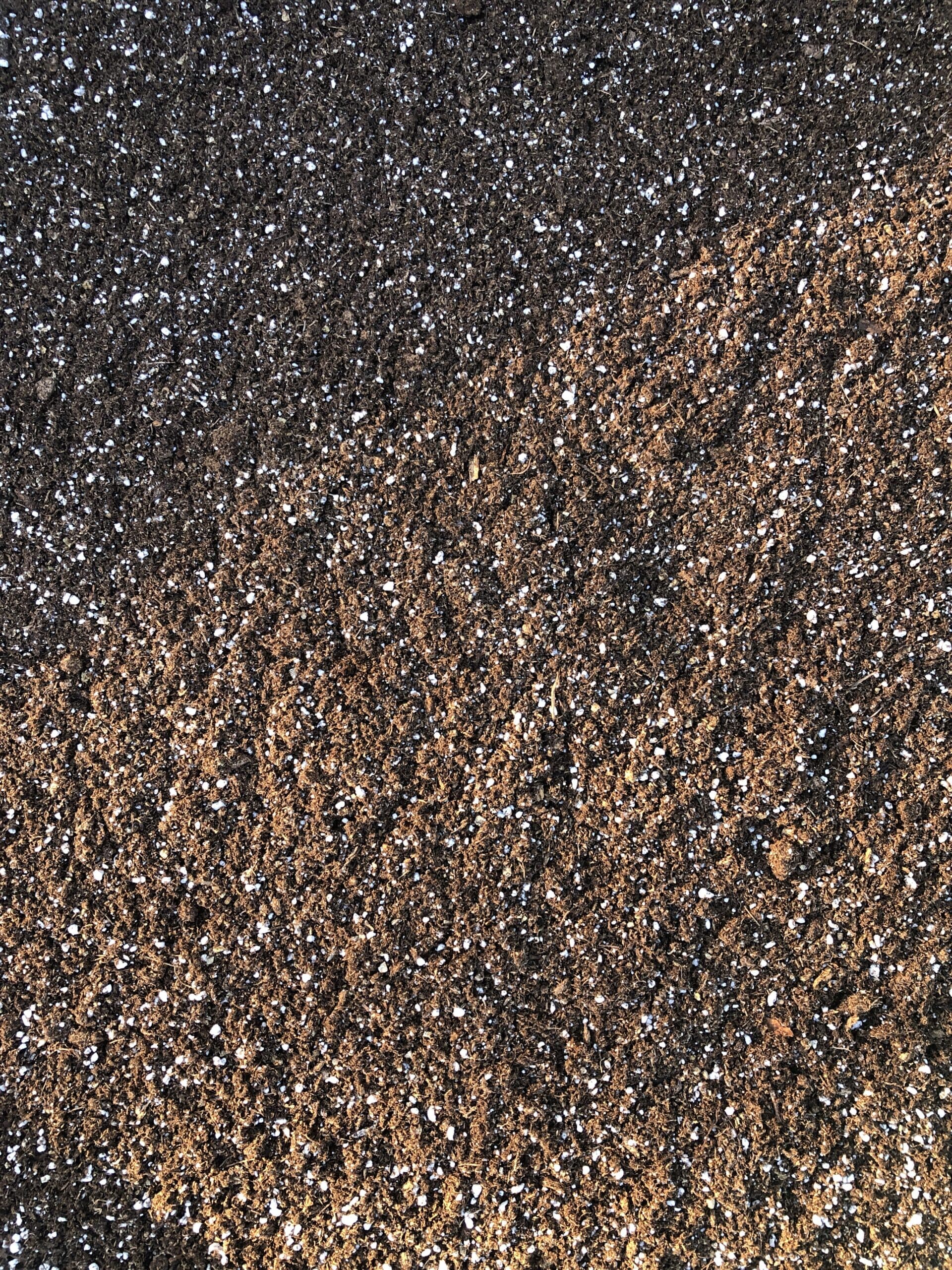 High Performance Cactus & Succulent Seedling Soil Mix - image 1