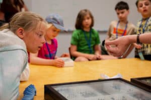 Carnegie Museum of Natural History - image 1