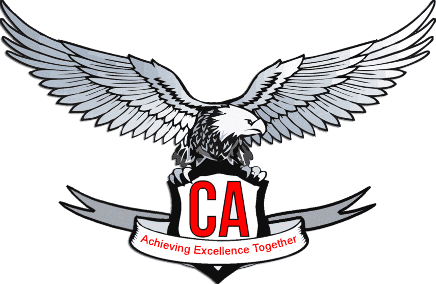 CA Test Series - image 1