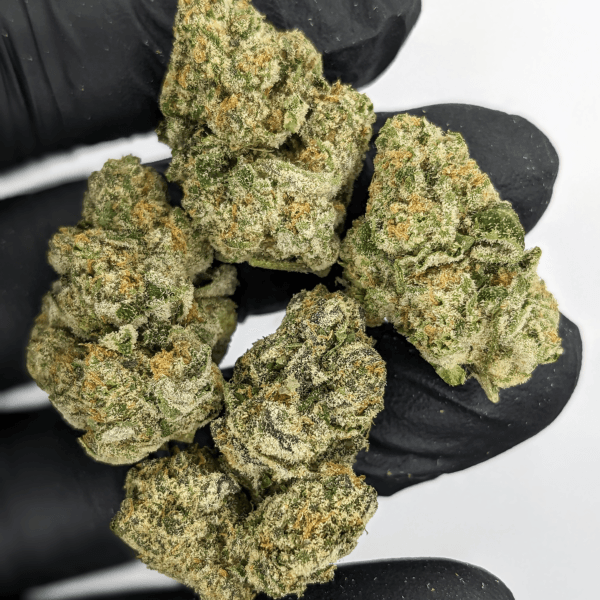 THCa Flower – Sour WiFi Cookies - image 1