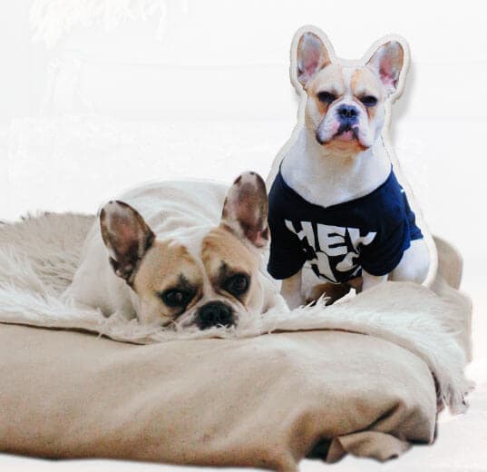 Custom Pet Shaped Pillows - image 1
