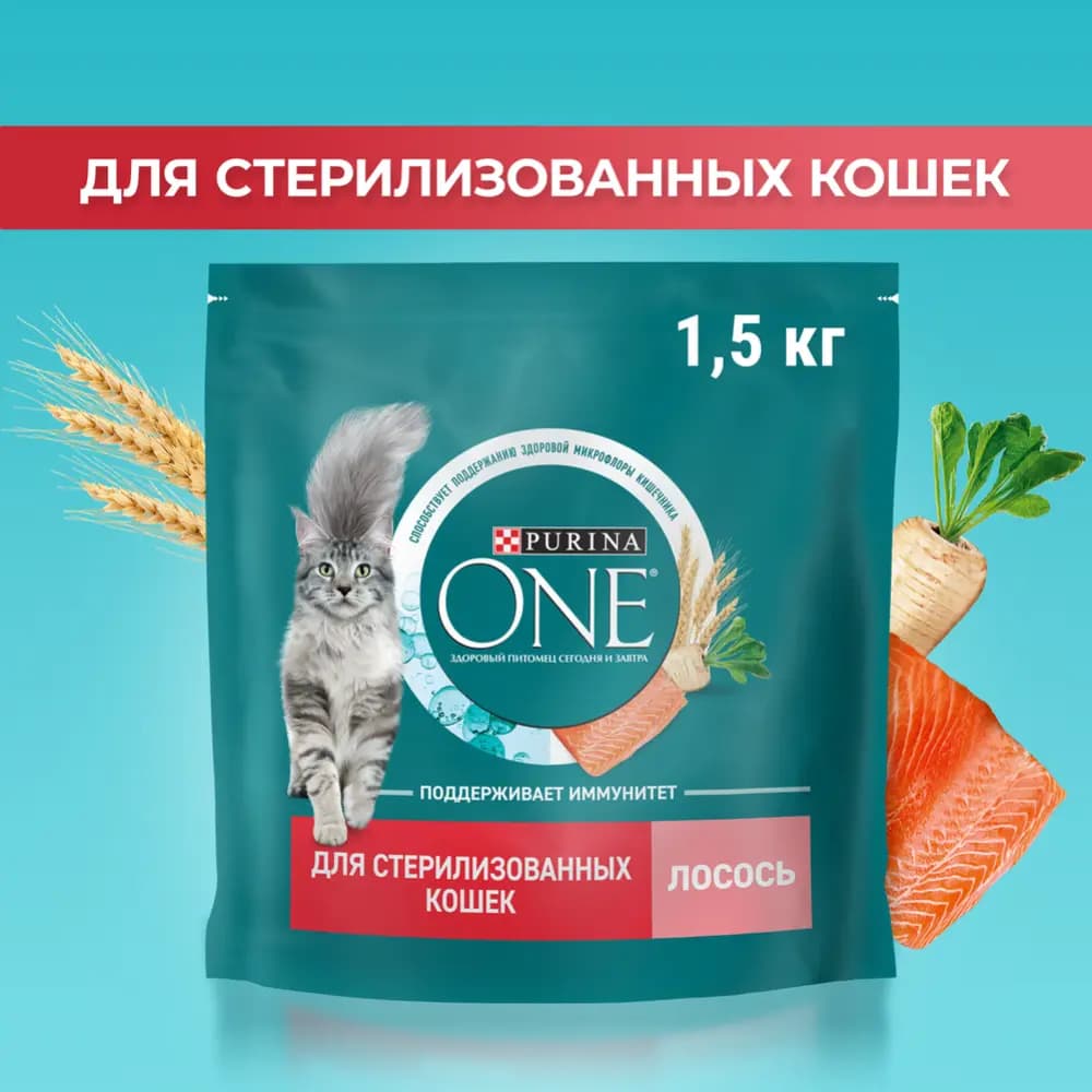 Purina One Cat Food with Salmon and Wheat, 1.5 kg - image 1