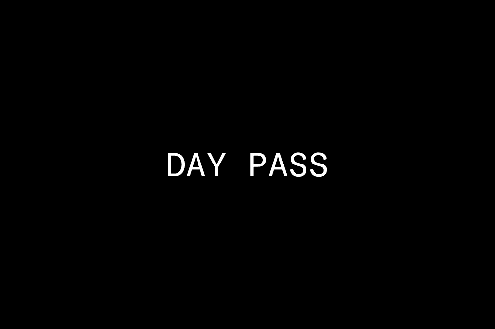 Book Day Pass - image 1