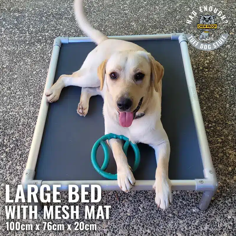 Large Commercial Grade ChewProof Dog Bed with Mesh Mat - image 1