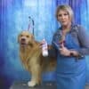 Big G Grooming Slicker Brush - image 1