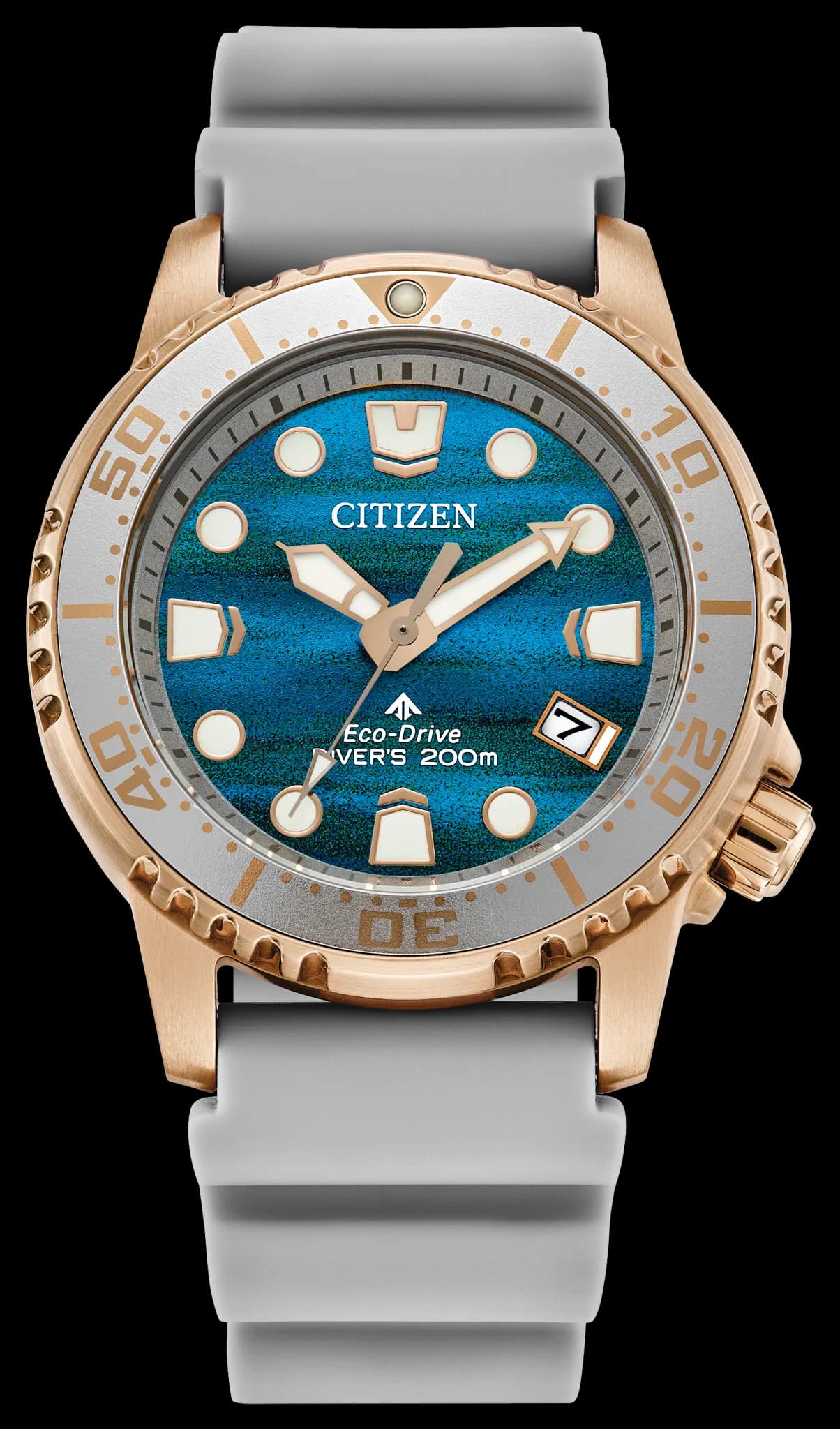 Promaster Dive - image 1