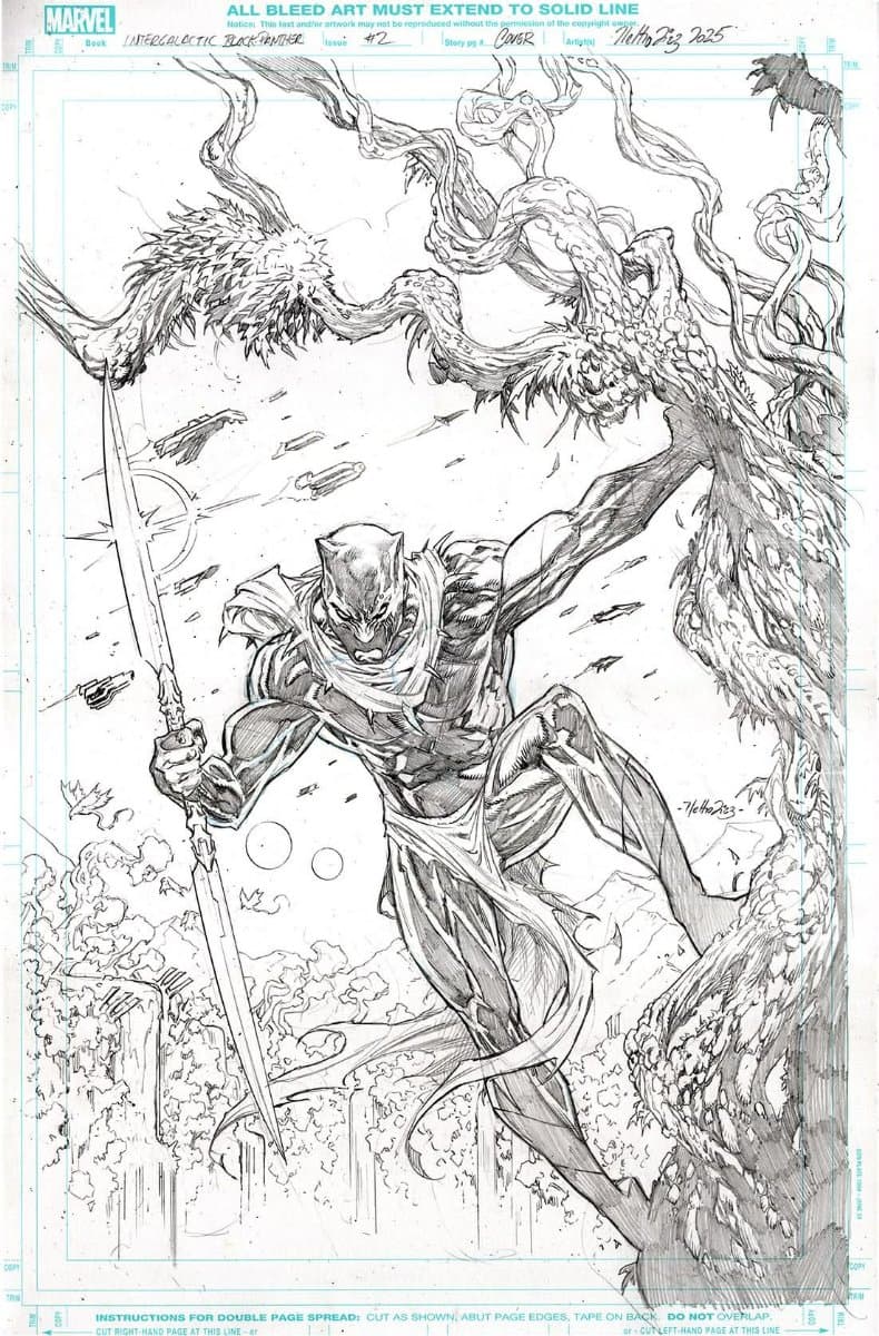 Black Panther: Intergalactic Issue 01 Cover Art - image 1