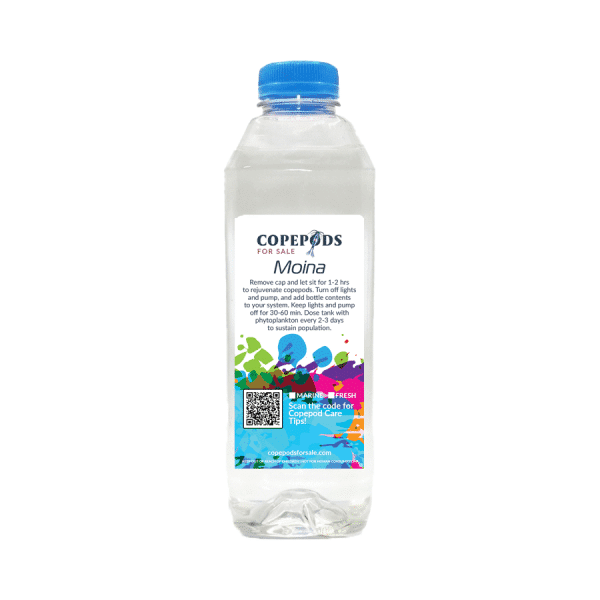 Freshwater Moina (32oz) – High-Nutrition Micro Food - image 1
