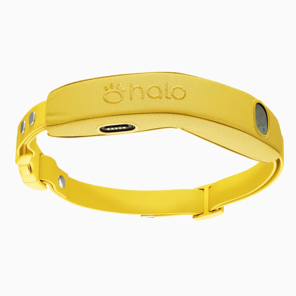 Halo Your Backyard Now Everywhere - image 1