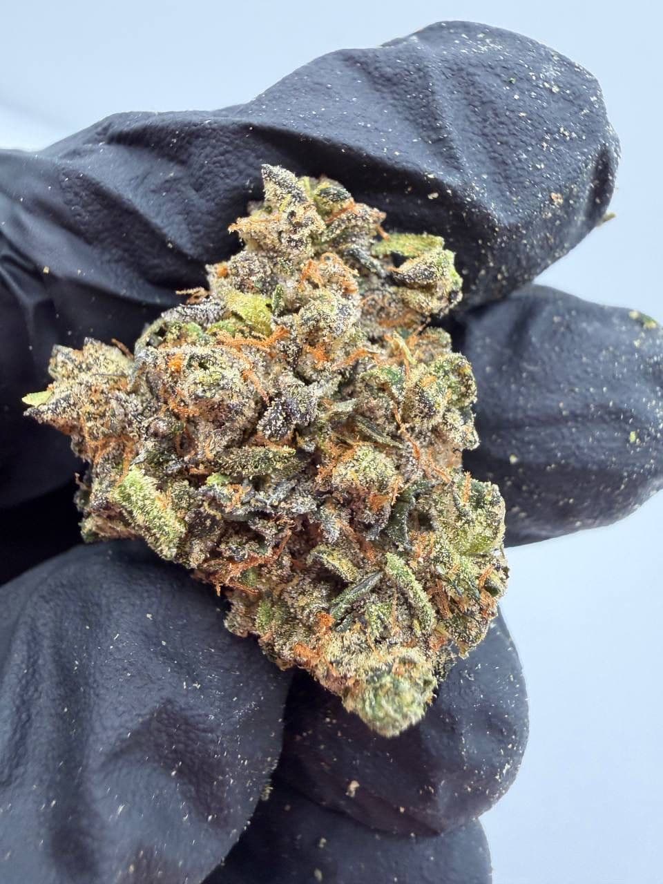The Strangest Thing Cannabis Strain 1/8 oz - image 1