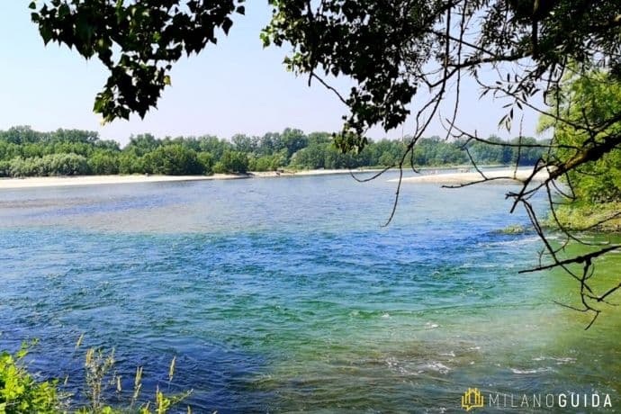 Il Sentiero della Biodiversità nel Parco del Ticino - image 1