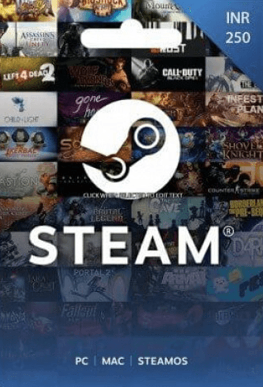 Steam Wallet INR 250 - image 1