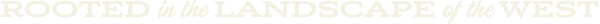 Product - image 1