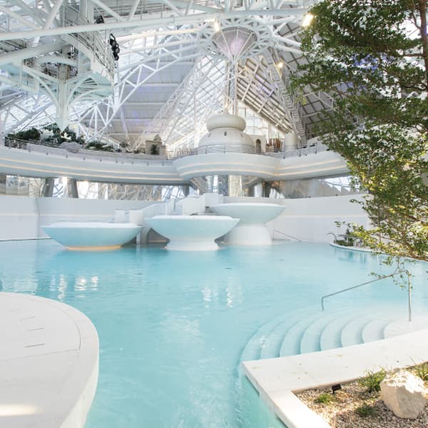 Caldea Spa - image 1