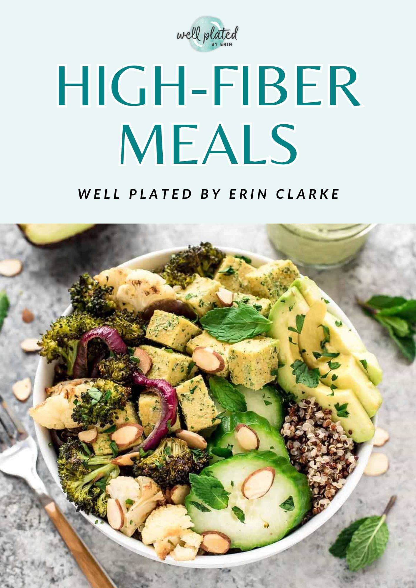 High Fiber E-Book - image 1