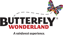 2 Attraction Combo - image 1