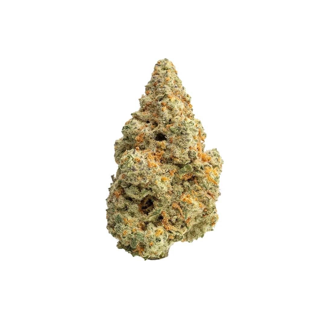 Russian Assassin THCA Flower Indoor - image 1