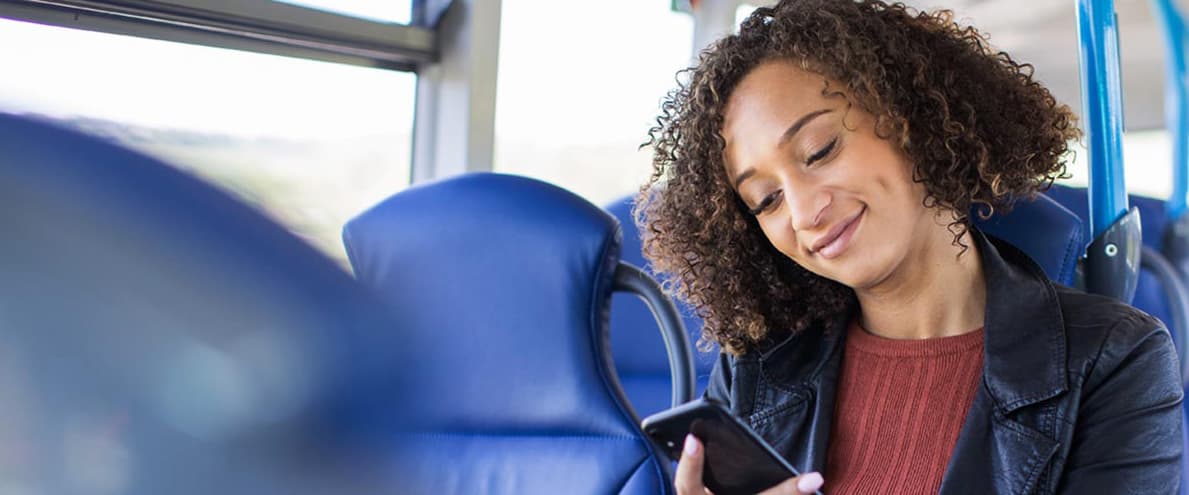 Airport Flyer Express Bus Service - image 1