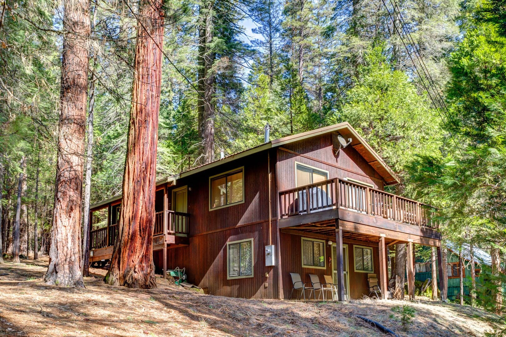 Cecil's Cabin - image 1