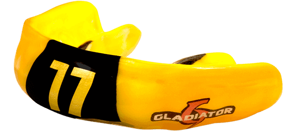 Gladiator Elite - image 1