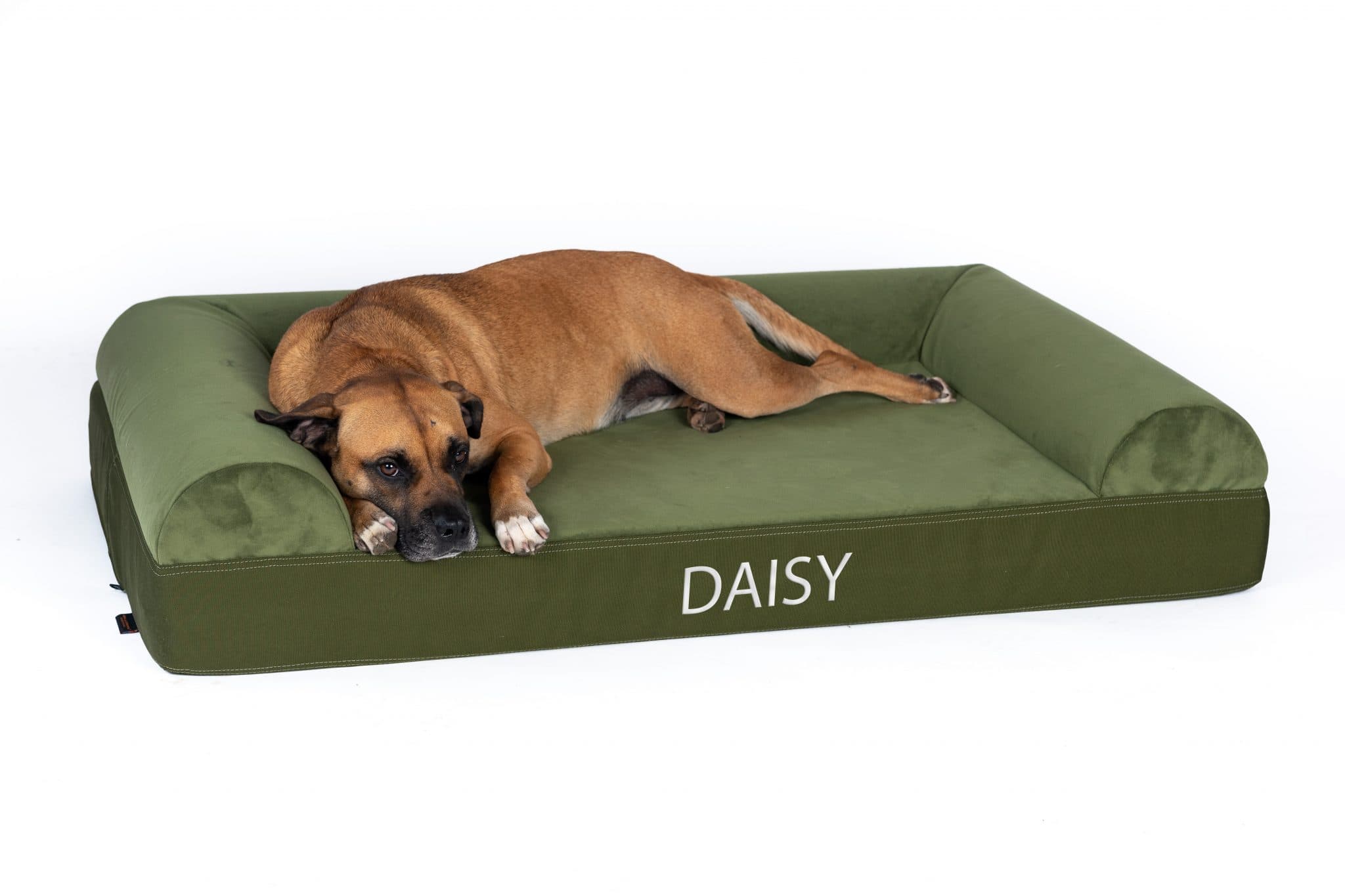Ultra Vel Orthopedic Dog Couch - image 1