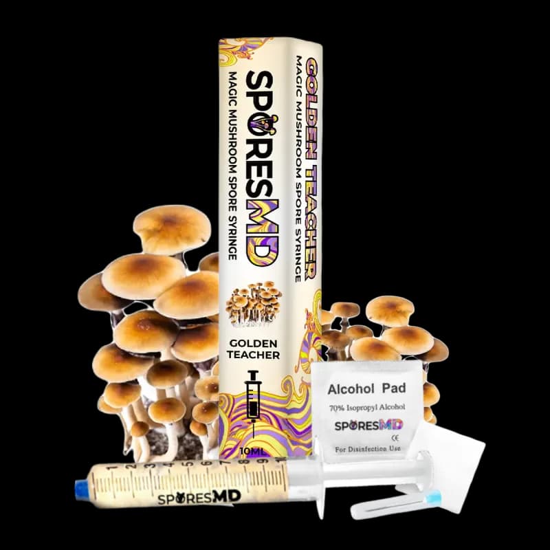 Golden Teacher Spore Syringe 10ml - image 1
