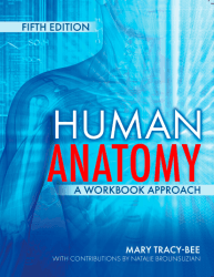 Human Anatomy: A Workbook Approach, 5th Edition - image 1
