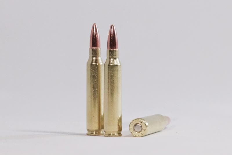 .223 Remington (5.56 Compatible) 55 grain FMJ - image 1