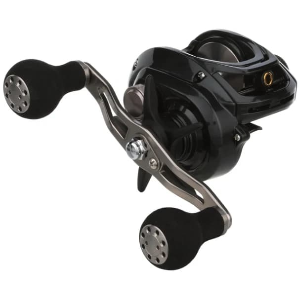 Daiwa 2023 Lexa LX300 Baitcasting Reel - image 1