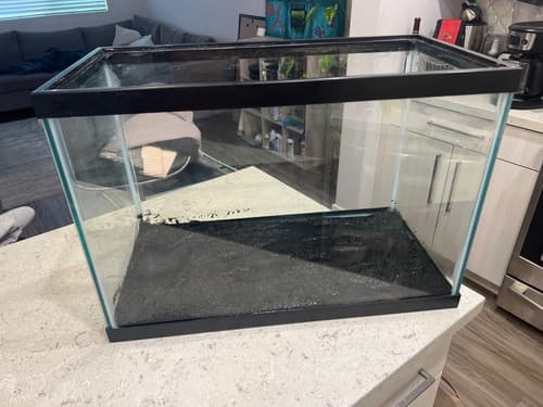 Aqueon 20 Gallon Glass Aquarium Fish Tank with New Lid - image 1