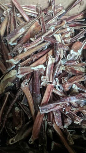 Bully Sticks Bites 100% Natural, Grass Fed, Long Lasting, Beef Pizzle, Odor Free - image 1