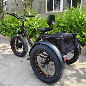Electric Trike Tricycle 20'' 55KMH 1500W EBike Travel Commuter Off Road Fat Tire - image 1