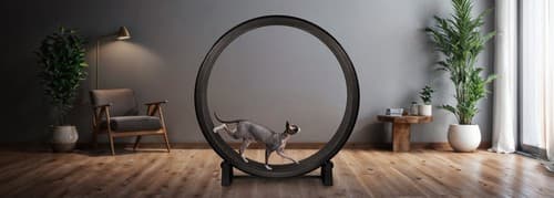 One Fast Cat Exercise Wheel - Gen 7 - 48" Diameter - Made in the US - image 1