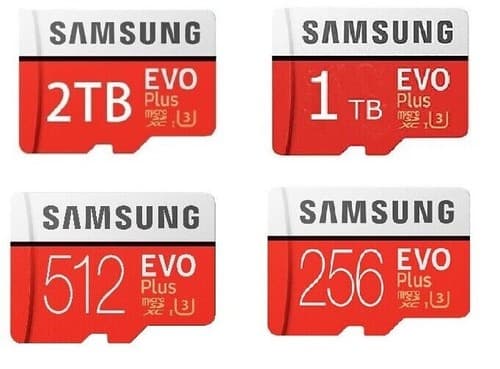 Samsung EVO Plus 1TB MicroSDXC UHS-I U3 Class 10 Memory Card - image 1