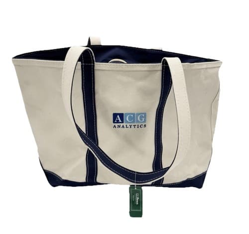 Vintage 90s L.L. Bean Boat And Tote Zip Top Canvas Large 17x15 NEW NWT - image 1
