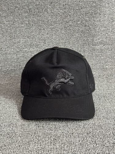 '47 Brand Detroit Lions Snapback Hat Black NFL Cap Carhartt - image 1